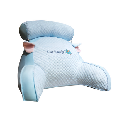 Silk Support Cushion Pillow - Big Teddy Comfort Pillow